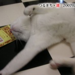 裏つるきち
