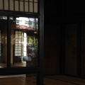 初夏―119年