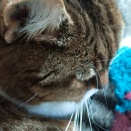 尾崎豊は言った… (たしか)