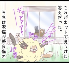 ネコの異常状態を調べられるネットってありがたい！のまき