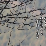 『雨垂れ石を穿つ』の画像
