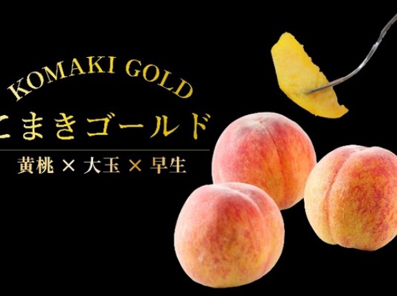 5/31(日)から『こまきゴールド』の予約販売が開始