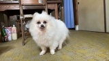 ワイのキチガイ家族を紹介するで！