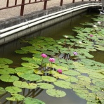 「藍川京」の部屋