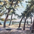 洲本大浜海岸