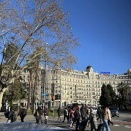 2026年1月24日の購入品