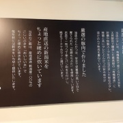 ���㥫��Ч ���쥫�� ����Ź ����Ч���å�