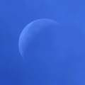 おひつじ座で輝くお月様（月齢24.2）＆今日の太陽面 ☆彡