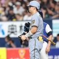 佐藤輝明の打撃が進化！T-岡田氏が分析する「一段レベルアップ」した準備の秘密