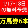 競馬予想無料公開サイト~1/17 ・18(2026)検証