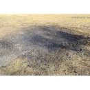 今日は ”さいと焼き” の 後片付け　50分程 で 終了 した