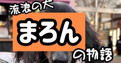 命のバトンは繋がった。