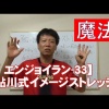 #33 鮎川式イメージストレッチ／筋肉痛改善ストレッチ・身体ケア【エンジョイラン】