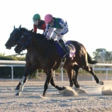 『【遠征結果】⑩ストリーム(牡3=田中淳司厩舎)が重賞5勝目! 第20回笠松グランプリ〔SPⅠ〕』の画像