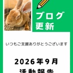 for the RABBIT【保護うさぎの里親探し】
