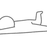 『宝塚友の会、当たらなさすぎて横転…😢【宝塚】』の画像