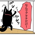 猫の名はポル㉔