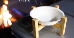 また忘れた！犬の食器事件｜でもダイソー紙皿が神フィットした話