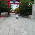 今日は