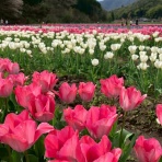 会社員倉間のまいにちホリデー！！