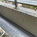 今週もバルコニー検査でした