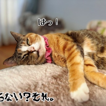 親切と余計なお世話は紙一重
