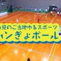 ブリのぬいぐるみを抱えながらプレーするハンドボール《ハンぎょボール》｜NHK まちかど情報室まとめ 2019.12.18
