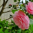 90歳 お元気ですね