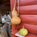 今週は、雪模様。