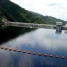椛川ダムと花と虫と滝