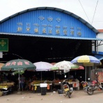 コイワカメラの「世界の路地裏で（または女たち）」