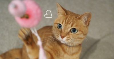 まる子と夜遊び♪