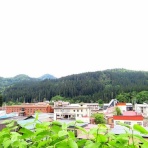 くぐる鳥居は鬼ばかり