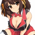 バニーハルヒさん