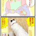 この『飼い猫感』がたまらない