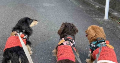 いよいよ明日です。