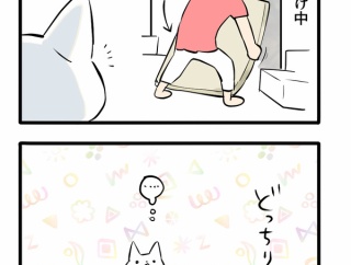ついに我が家にも秋の気配