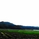 AIと光マイクロバブル（6050回記念）（2）