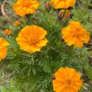 11月5日(水) (^O^)／