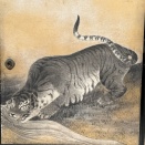 三井記念美術館の応挙！