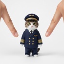 猫らをパイロットにしたい男。