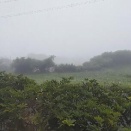 ⑩3269・2964 梅雨の霧が野山を覆う朝です。