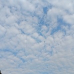 ちょっと幸せ、ずーっと幸せ