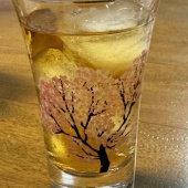 サクラ満開
