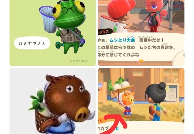 【あつまれ どうぶつの森】前作の住人消える、海外の考察では死亡説も