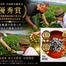 受賞納豆誕生秘話⑧  「菊水の大黒」誕生秘話 ― 北海道で出会った黒大豆との運命の出会い ―