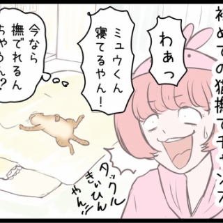 ネコ飼いの飼いネコまんが ねこボイ