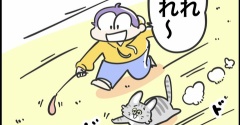 新人猫との距離