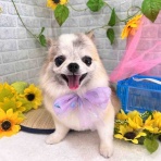 ゆうなぎ動物病院
