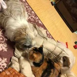 �ؤ��äȡ����ʤ깬���ʤ���٤β���